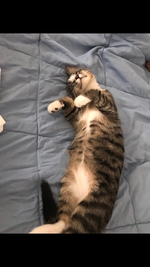 Leaked u3p0rnkitty header onlyfans leaked