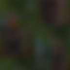 Leaked unknownuser2003 onlyfans leaked