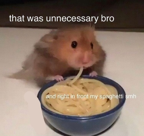 Leaked vaneri header onlyfans leaked
