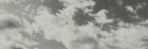 Leaked white_zelkova header onlyfans leaked
