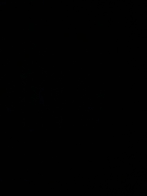 Leaked wholelottacarmel header onlyfans leaked