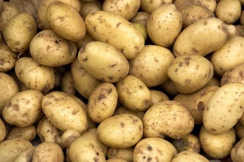 Leaked wholepotato header onlyfans leaked
