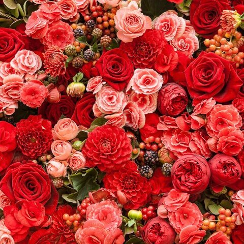 Leaked wiildflowerrr header onlyfans leaked