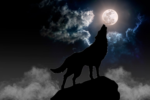 Leaked wolfmoon8888 header onlyfans leaked