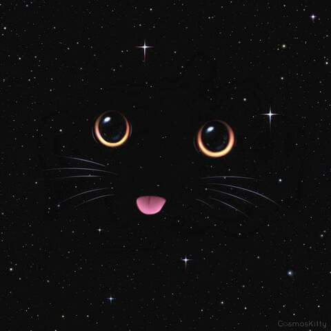 Leaked xbearkitty header onlyfans leaked