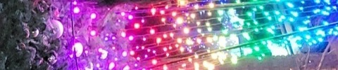 Leaked xdannix header onlyfans leaked