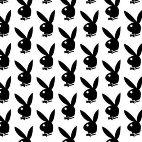 Leaked xelizvvetv header onlyfans leaked