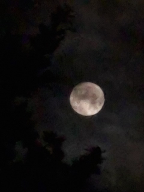Leaked yxurmoon header onlyfans leaked