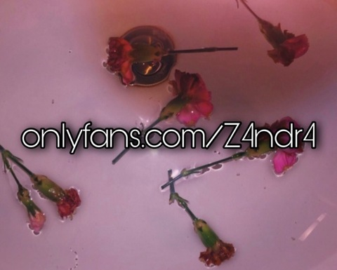 Leaked z4ndr4 header onlyfans leaked