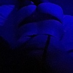 Leaked zena20 onlyfans leaked