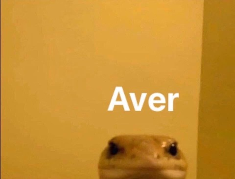 Leaked zunoluna header onlyfans leaked